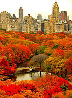 Алмазна мозаїка "Золота осінь у Центральному парку", 40*50 см, на рамці, ТМ Dreamtoys