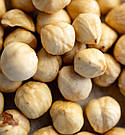 Фундук бланшований, фото 2