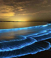 Алмазна мозаїка "Сяйливі хвилі нічного океану", 40*50 см, на рамці, ТМ Dreamtoys