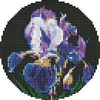 Алмазна мозаїка "Ніжні іриси" на круглому підрамнику d19 см, термопакет, ТМ Ідейка, Україна