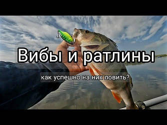 Ратліни та Віби (Vib)