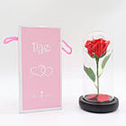 Троянда в колбі з LED підсвіткою 20 см, Червона, на батарейках / Нічник Вічна троянда / Квітка в колбі, фото 10