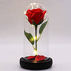 Троянда в колбі з LED підсвіткою 20 см, Червона, на батарейках / Нічник Вічна троянда / Квітка в колбі, фото 9