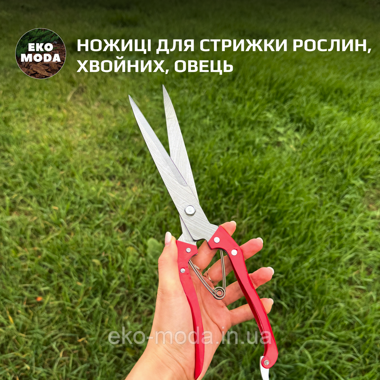 Ножиці для стрижки рослин, хвойних, овець
