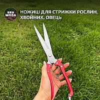 Ножиці для стрижки рослин, хвойних, овець