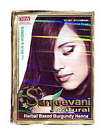 Індійська хна бургунт Sanjeevani Natural Burgundy Henna 60 грм