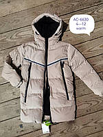Куртка утеплена для хлопчиків, F&D, 4-12 років, № 6630-1, фото 7