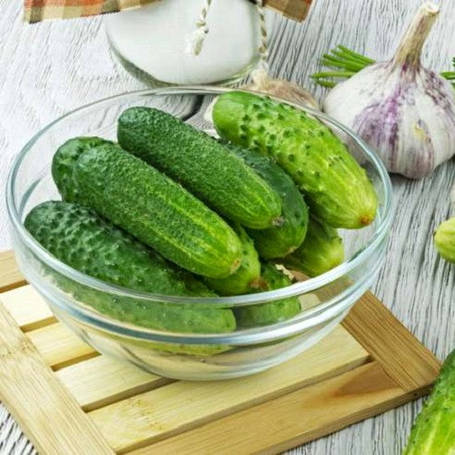 Насіння огірків