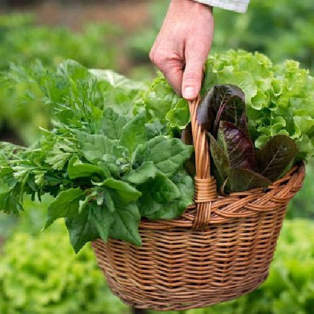 Пряні та зелені