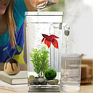 Акваріум для рибок самоочисний, 2л, My Fun Fish, з підсвічуванням / Міні акваріум із системою самоочищення, фото 2