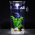 Акваріум для рибок самоочисний, 2л, My Fun Fish, з підсвічуванням / Міні акваріум із системою самоочищення, фото 6