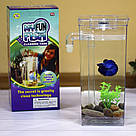 Акваріум для рибок самоочисний, 2л, My Fun Fish, з підсвічуванням / Міні акваріум із системою самоочищення, фото 9