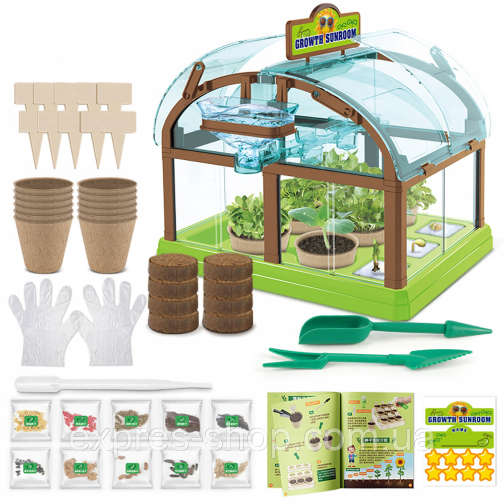 Набір для вирощування рослин для дітей з насінням "Домашня теплиця", Зелений / Дитячий набір садівника, фото 1