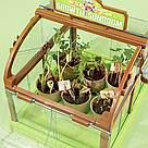 Набір для вирощування рослин для дітей з насінням "Домашня теплиця", Зелений / Дитячий набір садівника, фото 4