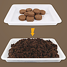 Набір для вирощування рослин для дітей з насінням "Домашня теплиця", Зелений / Дитячий набір садівника, фото 5