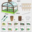 Набір для вирощування рослин для дітей з насінням "Домашня теплиця", Зелений / Дитячий набір садівника, фото 9