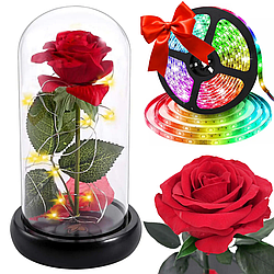 Троянда в колбі з LED підсвічуванням 20 см + Подарунок LED стрічка 5 м, від USB, Strip CB-5050 / Вічна троянда під куполом