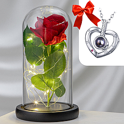 Троянда в колбі з LED підсвічуванням 20 см + Подарунок Кулон із проекцією "I love you", Сріблястий / Вічна троянда