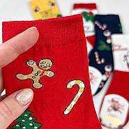 Жіночі новорічні шкарпетки Caolo, фото 2