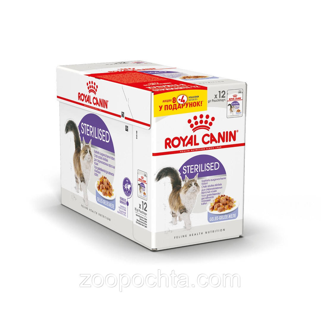 Акція! Вологий корм Royal Сanin Sterilised для стерилізованих кішок у желе 85 гр 8 шт. + 4 шт. в подарунок!