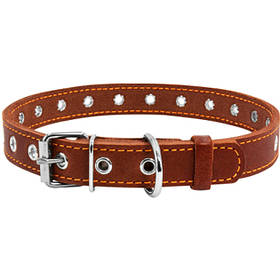 Нашийник для собак Collar безрозмірний 20 мм 50 см Коричневий