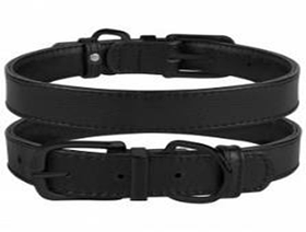 Нашийник Шкіряний BronzeDog Premium з металевою фурнітурою, 25 мм -38-49 см Чорний