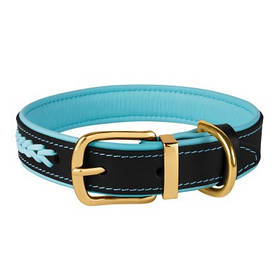 Нашийник Шкіряний BronzeDog Premium з металевою фурнітурою, 25 мм -38-48 см Блакитний