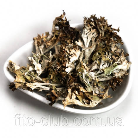 Ісландський мох цетрарія 35гр