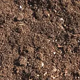 Субстрат універсальний Eco plus 50л, фото 2