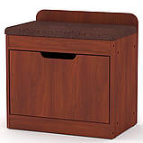 Тумба під взуття ТО-8 Дуб крафт золотий Компаніт (60х38х60 см), фото 10