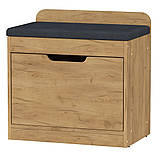 Тумба під взуття ТО-8 Ательє світлий Компаніт (60х38х60 см), фото 3