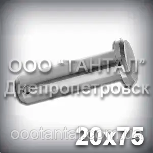 Палець — вісь 20х75 DIN 1444 В (ГОСТ 9650-80 тип 6) ISO 2341 сталевий оцинкований