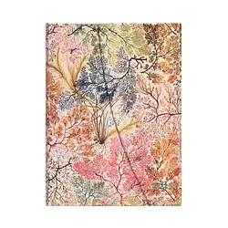 Тижневик горизонтальний Paperblanks 2025 Анемона середній 13х18 см (9781408757697)
