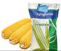 Насіння кукурудзи СИ Ротанго Syngenta Посівний матеріал кукурудзи з високою врожайністю