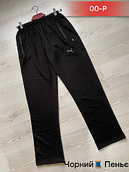 Штани спортивні чоловічі без манжет, двонитка пеньє, Україна. Розміри 46-48-50-52-54