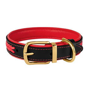 Нашийник Шкіряний BronzeDog Premium з Литий латунний фурнітура, 17 мм -28-36 см Червоний