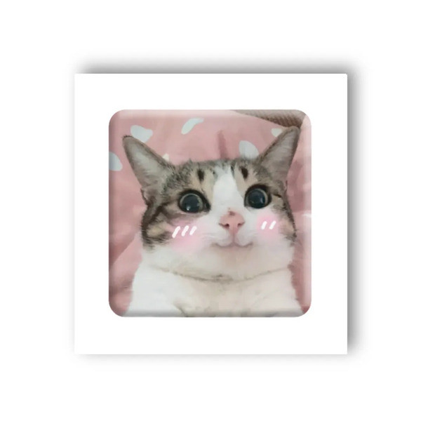 3D-стікер Мем милий котик