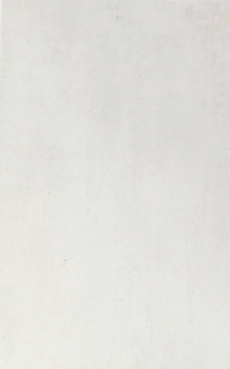 Плитка облицювальна Атем Cement White 250*400