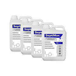 Антисептик для рук 75% спирта SeptiMax 5 л (комплект 4 шт)