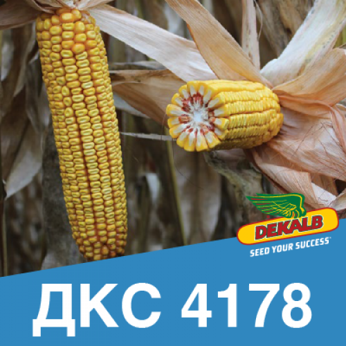 Насіння кукурудзи ДКС 4178 ФАО 330