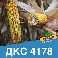 Насіння кукурудзи ДКС 4178 ФАО 330