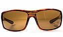 Окуляри поляризаційні (захисні) BluWater Babe Winkelman Polarized (brown) коричневі, фото 3