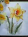 Набір "Нарцис", фото 2