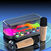 Беспроводная портативная Bluetooth колонка с караоке-системой на 2 микрофона EVIO LR Z6 (Черный)