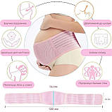 Пояс бандаж для вагітних, фото 2