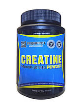 Креатин Моногідрат Profiprot 250 г без смаку