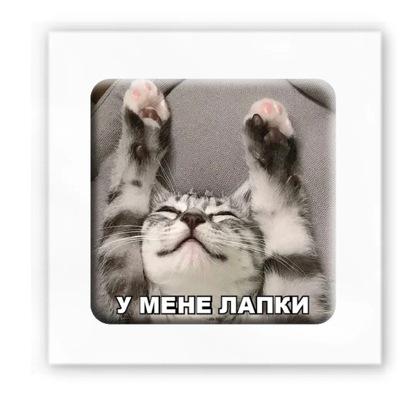 3D-стікер У мене лапки