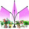 Фітолампа для домашніх рослин світлодіодна з таймером гнучка LED Supretto 30вт на 3 світильники, фото 8