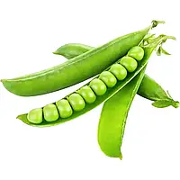 Горох Spark seeds Кінгсайз 100 000 насінин 26,6 кг