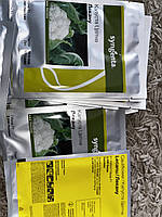 ЛЕКАНУ F1 / LECANU F1 - Капуста Цвітна, 2500 калібр  2.00-2.25